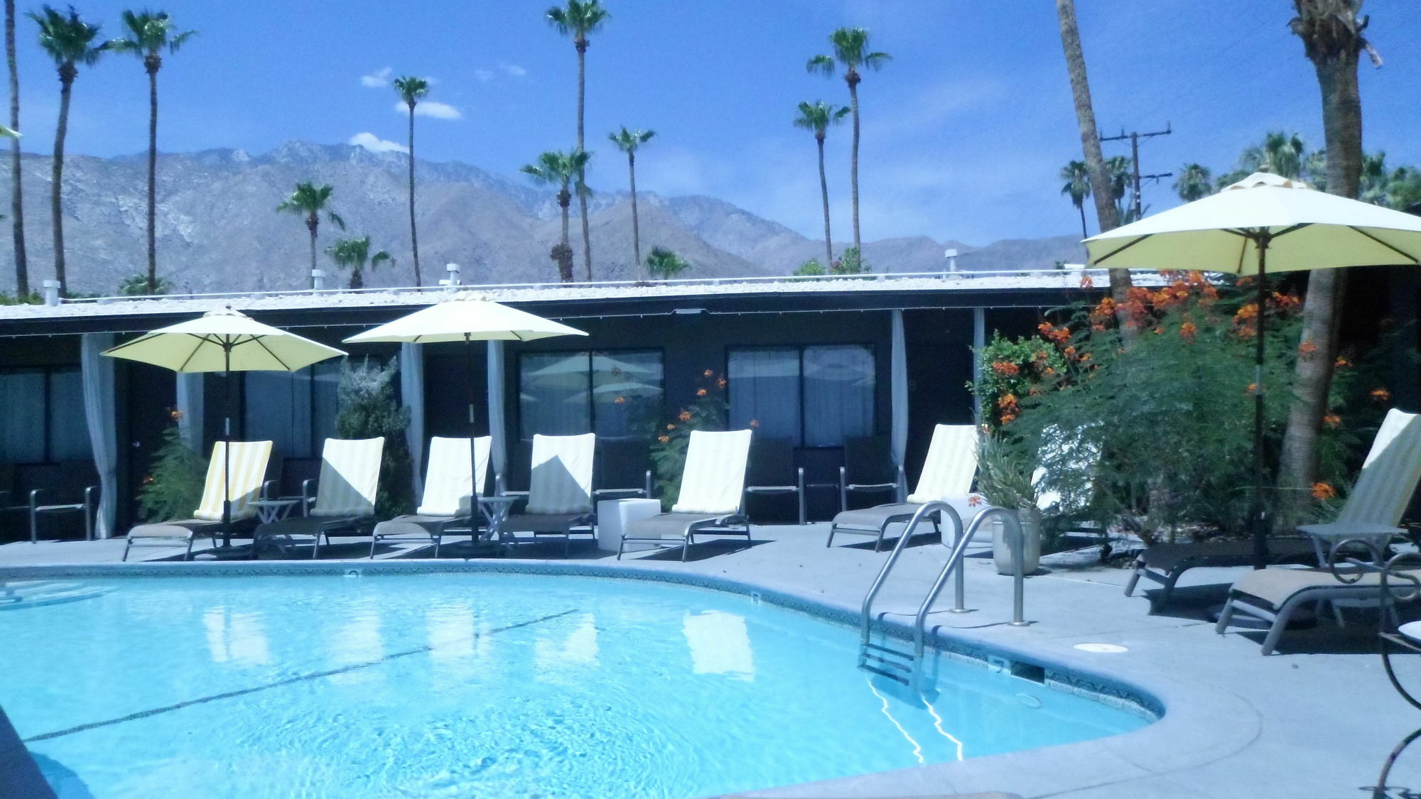 Avanti Hotel Palm Springs Exteriör bild